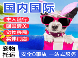 高崎航空空运国际宠物托运 【国